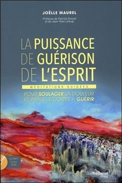 [9782813209313] La puissance de guérison de l'esprit