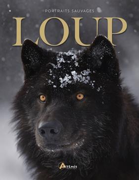 [GE 00050467 X / 4] Loup