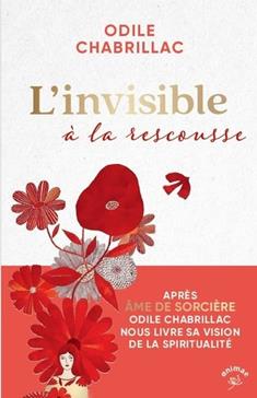 [9782385641245] L'invisible à la rescousse