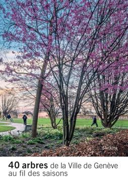 [GE 00050783 X / 5] 40 arbres de la Ville de Genève au fil des saisons