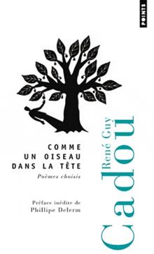 [9782757824719] Comme un oiseau dans la tête