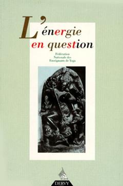 [9782850768330] L'énergie en question