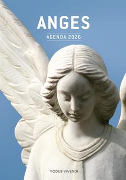 [9782897763015] Agenda anges 2026