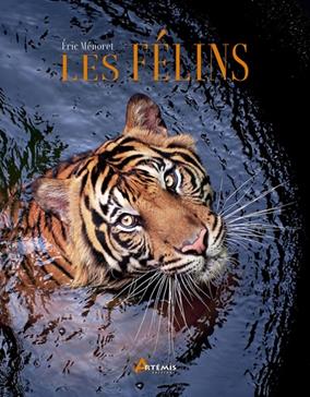 [GE 00052173 X / 1] Les félins