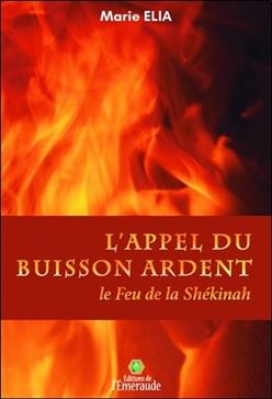 [9782955862599] L'appel du buisson ardent