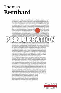 [9782070709076] Perturbation