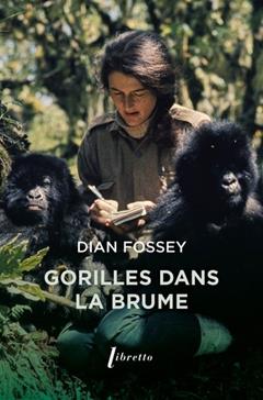 [GE 00055151 3 / 2] Gorilles dans la brume