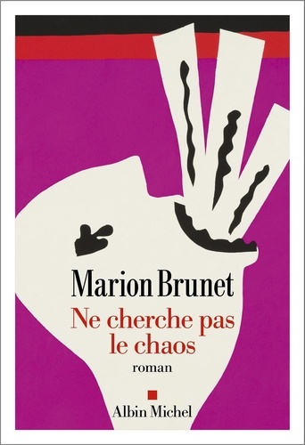 [9782226471017] Ne cherche pas le chaos